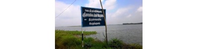 பெருங்குளம்